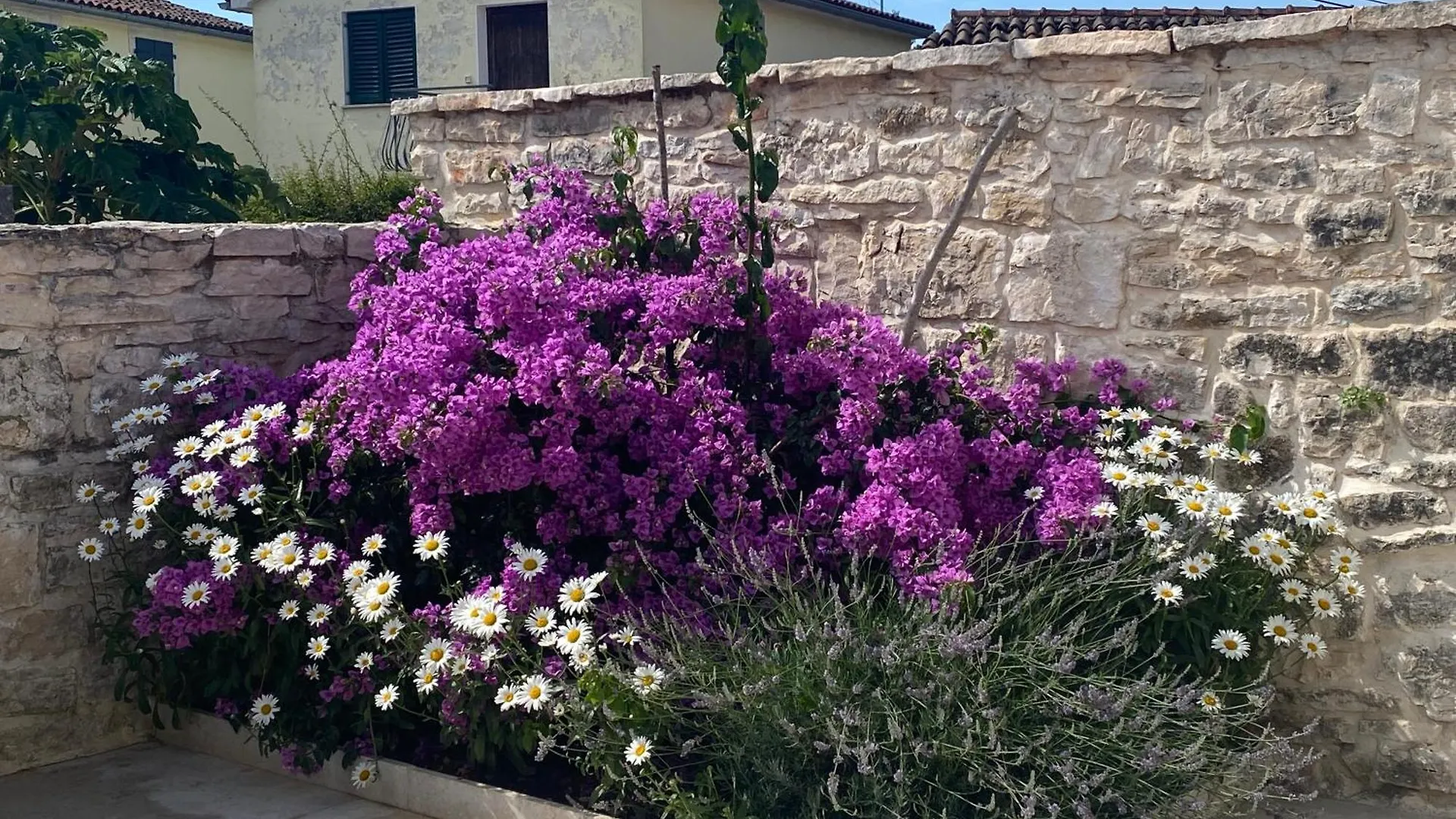 Holiday home Casa Tratinella Villa Rovinjsko Selo Croatia